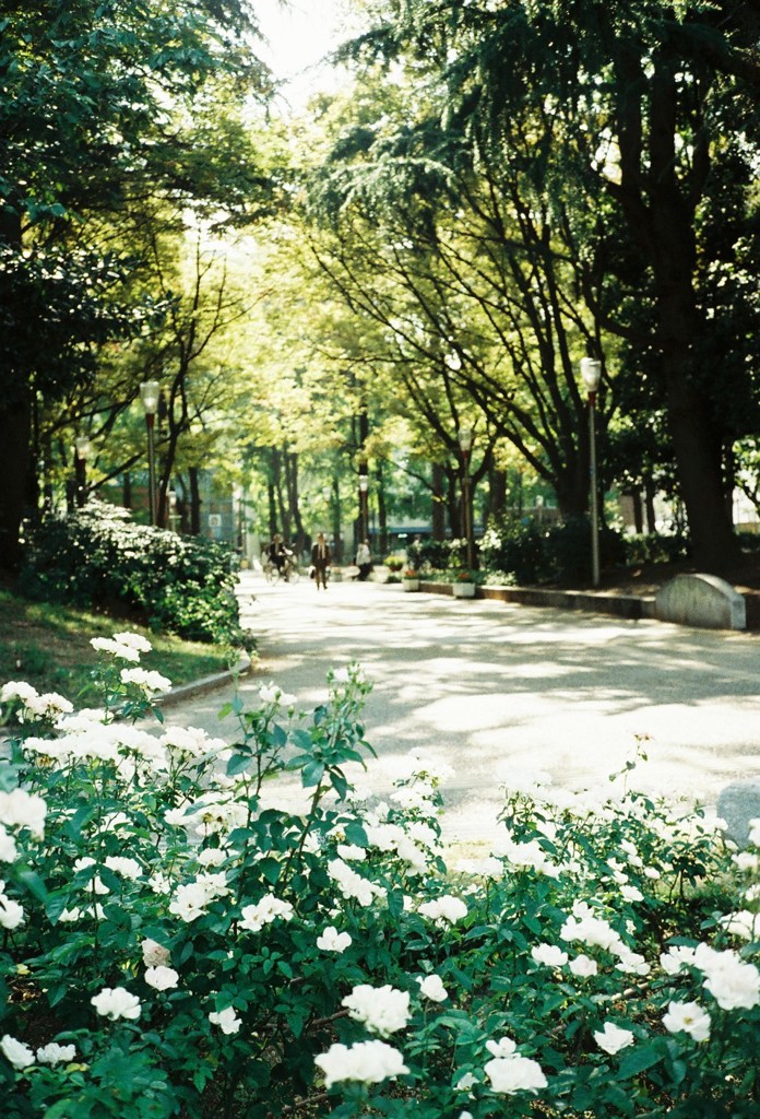 2011_11_04 靱公園