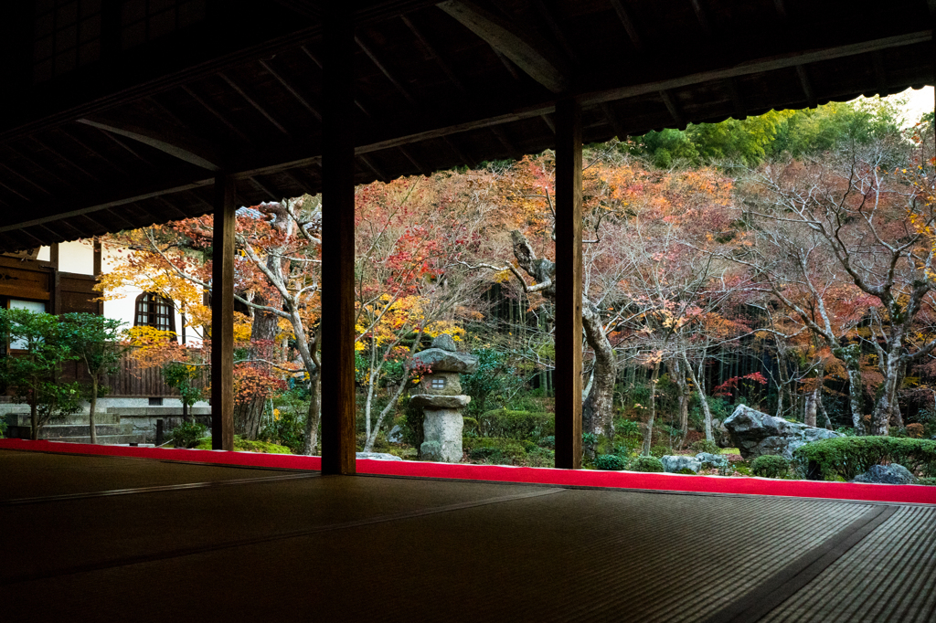 2013_12_02 圓光寺02