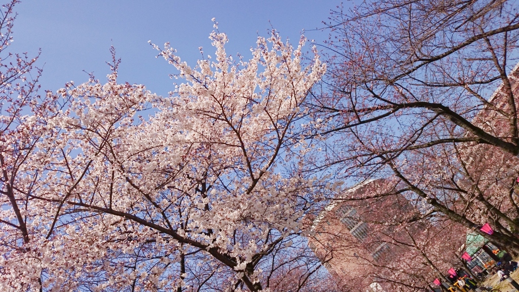 2015_03_28