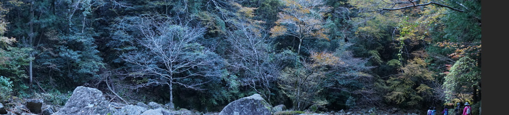2013_11_23 赤目四十八滝03