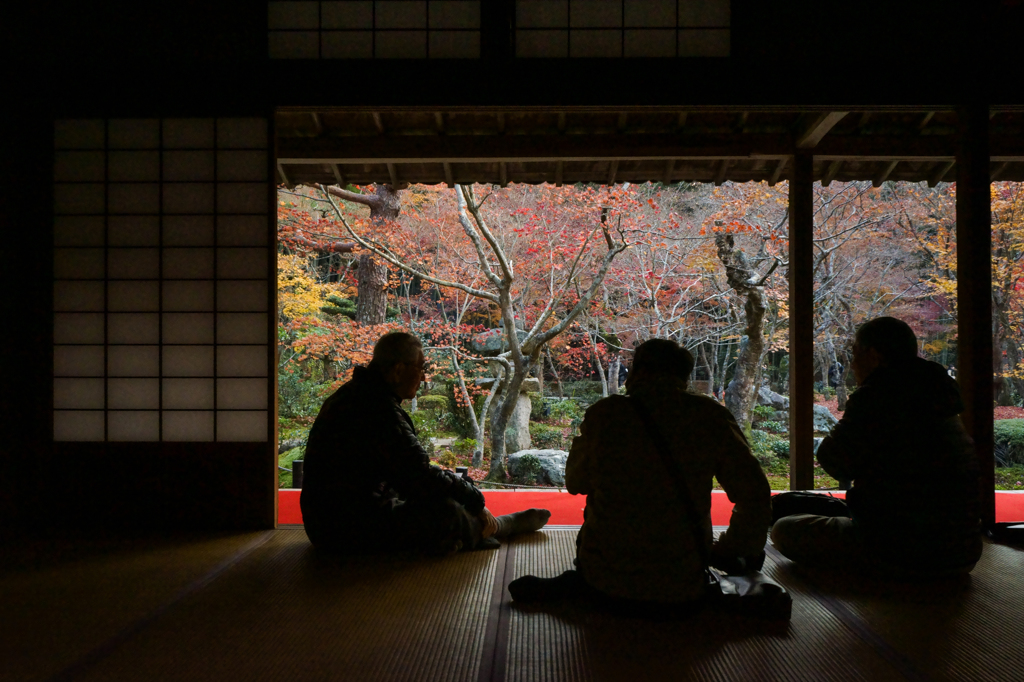 2013_12_02 圓光寺01