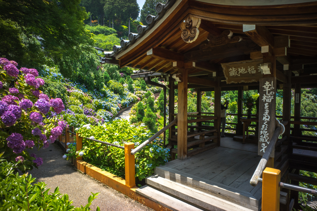 2015_06_24 善峯寺02