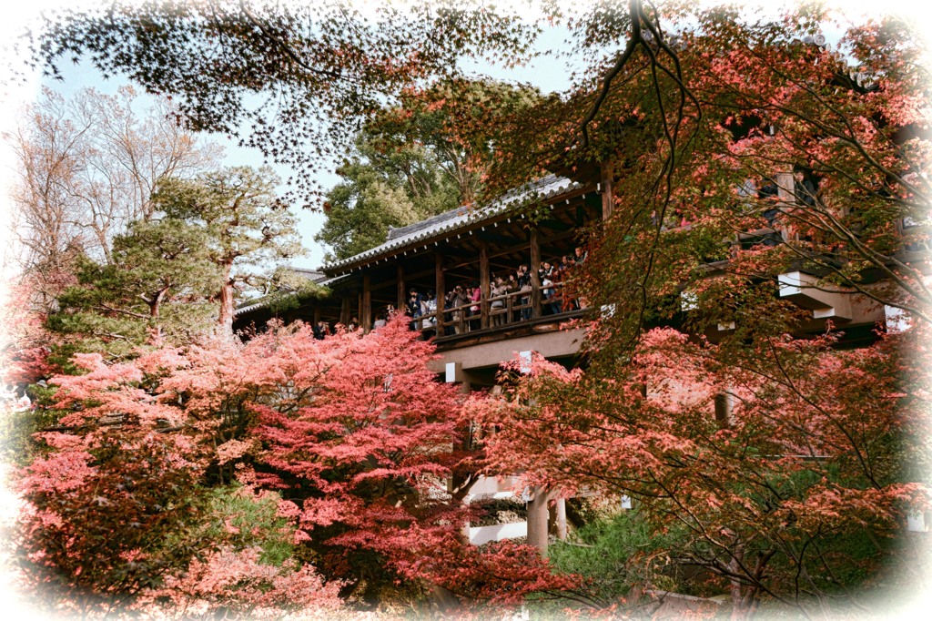 2013_11_24 東福寺06