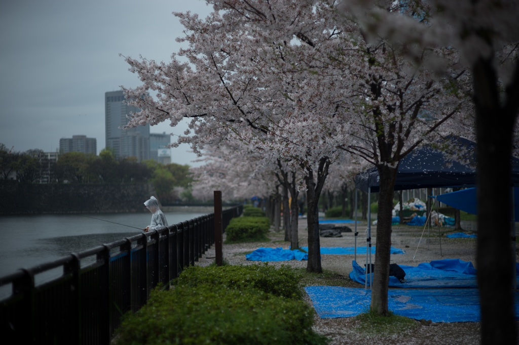 2015_04_05 大阪城公園07