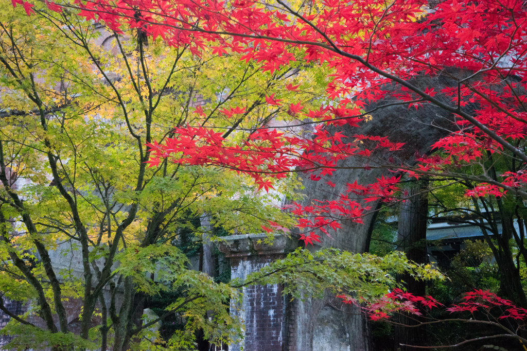 2014_11_19 南禅寺04