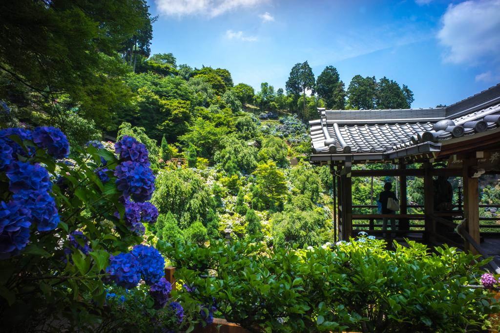 2015_06_24 善峯寺07