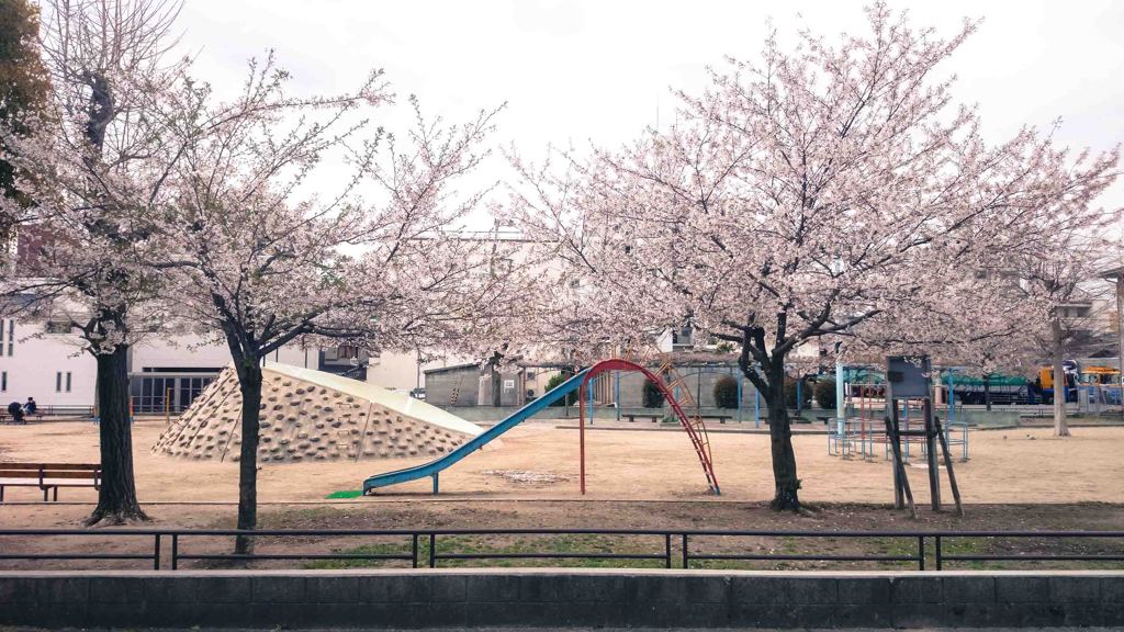 2014_04_05 公園
