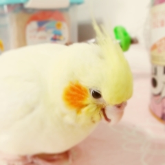 20121226141907930