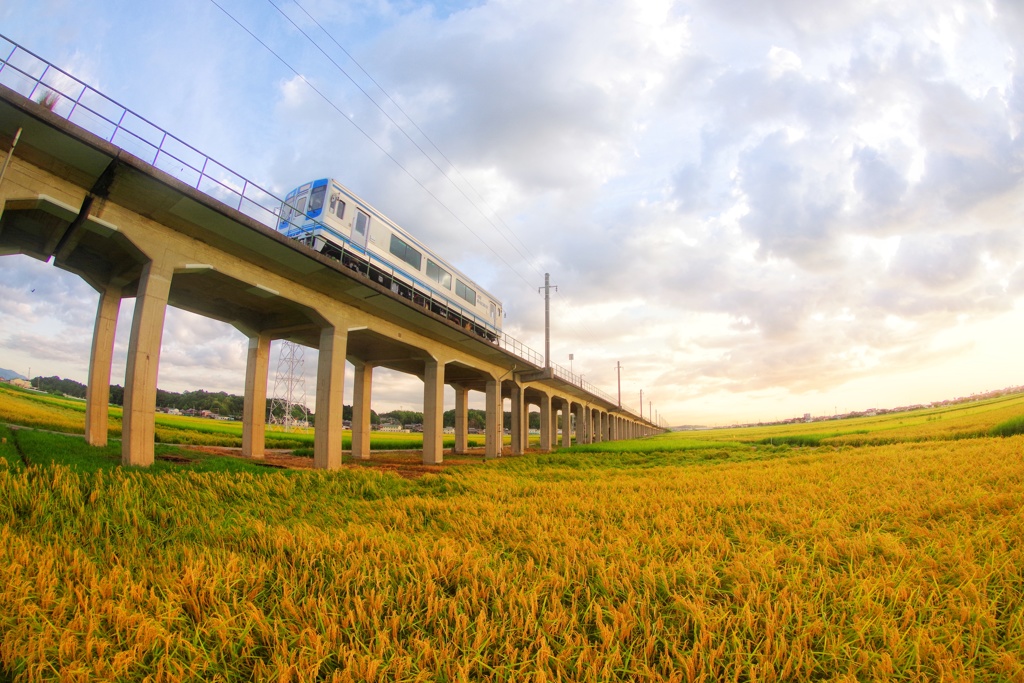 秋の実りと伊勢鉄道♪