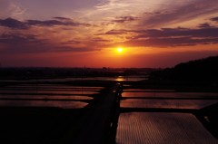 初夏のころ