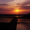 初夏のころ