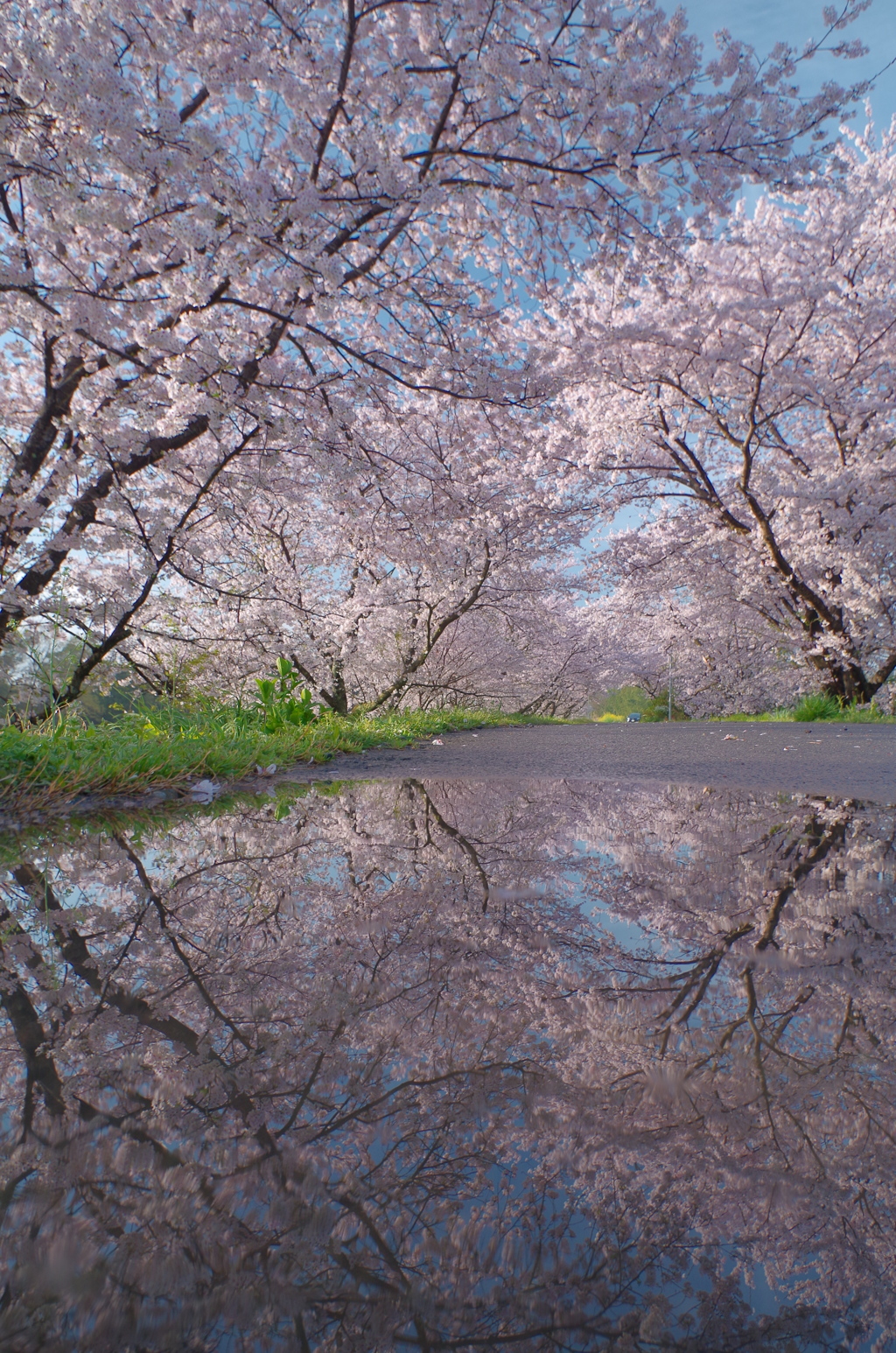 another　world