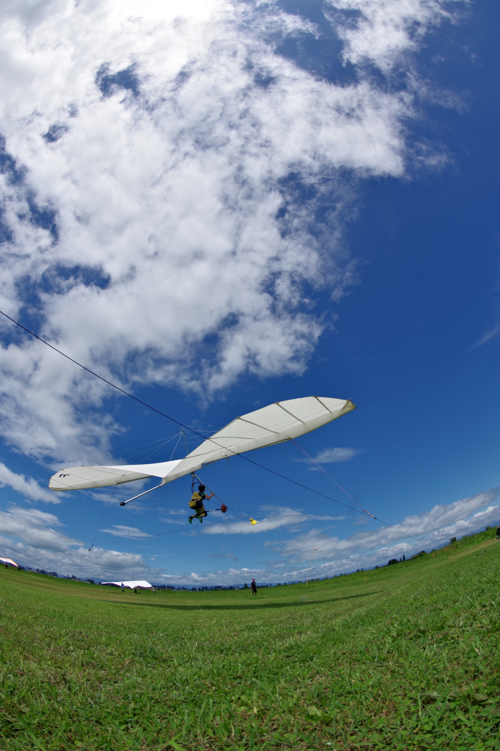 この夏、翔びました