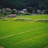 ド田舎より初夏の風を…