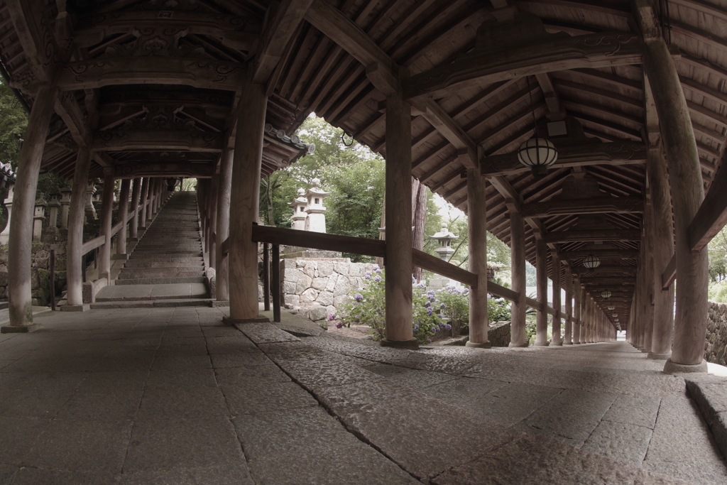 長谷寺テストショット