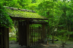 緑門