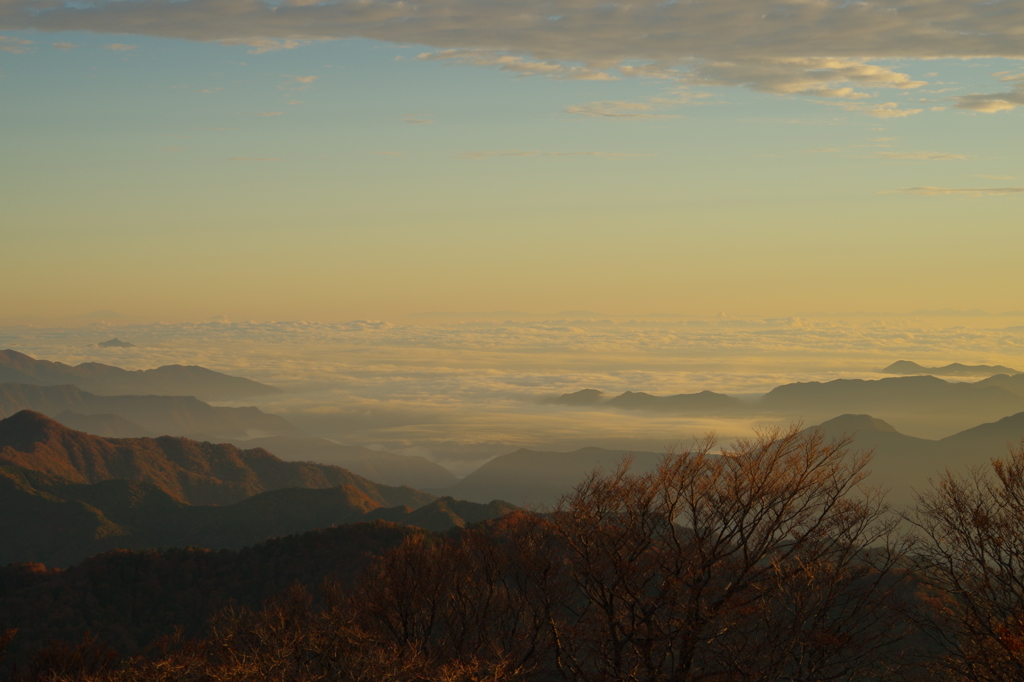 淡景