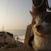 世界の広さ