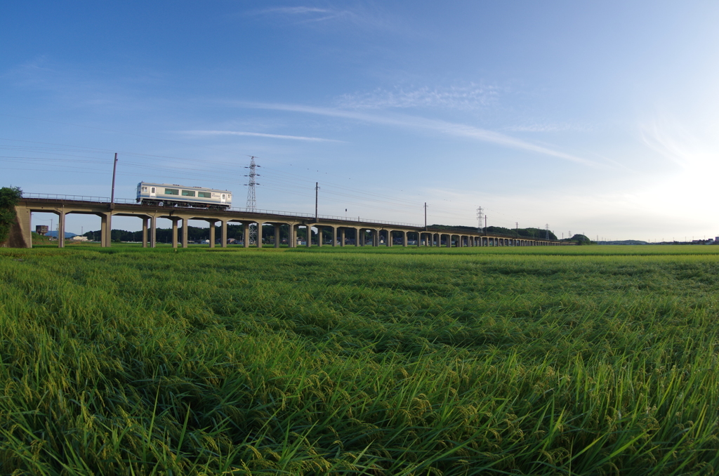 夏の大地と伊勢鉄道