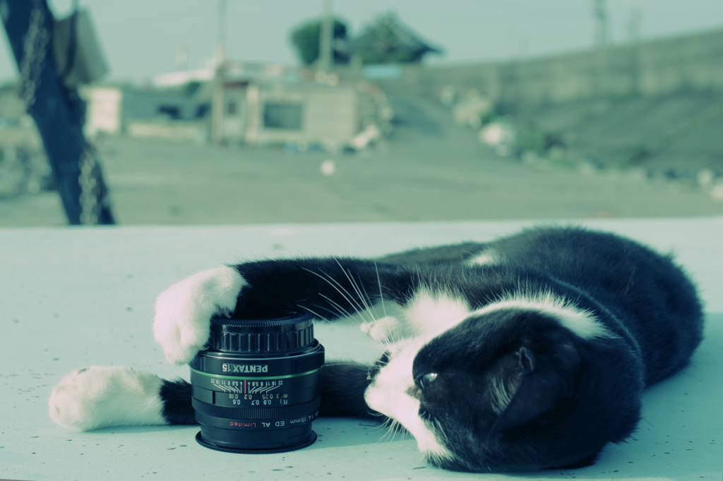 PENTAX　DA15limited