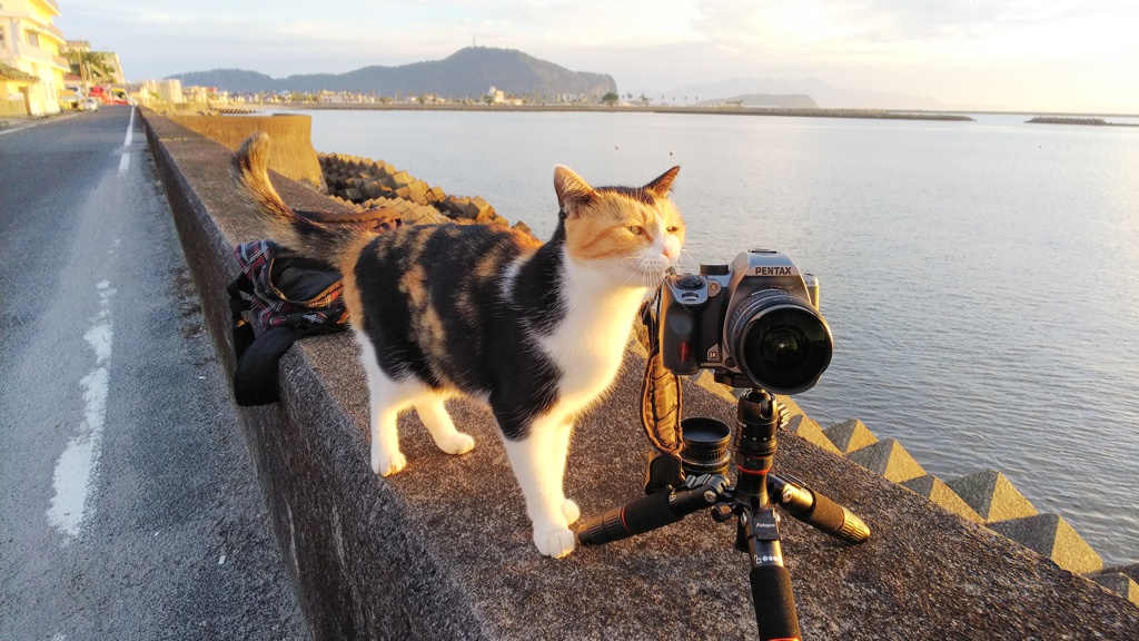 ん～、もうちょい右やで…