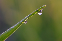 纏水。