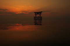 水面が燃えとる～