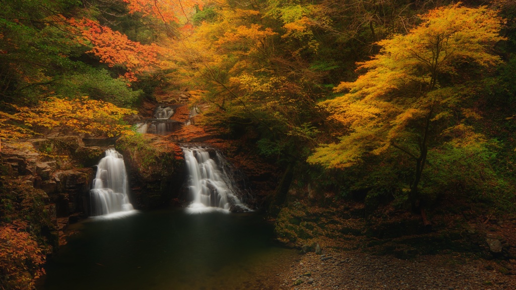 今年の紅葉残り汁その１