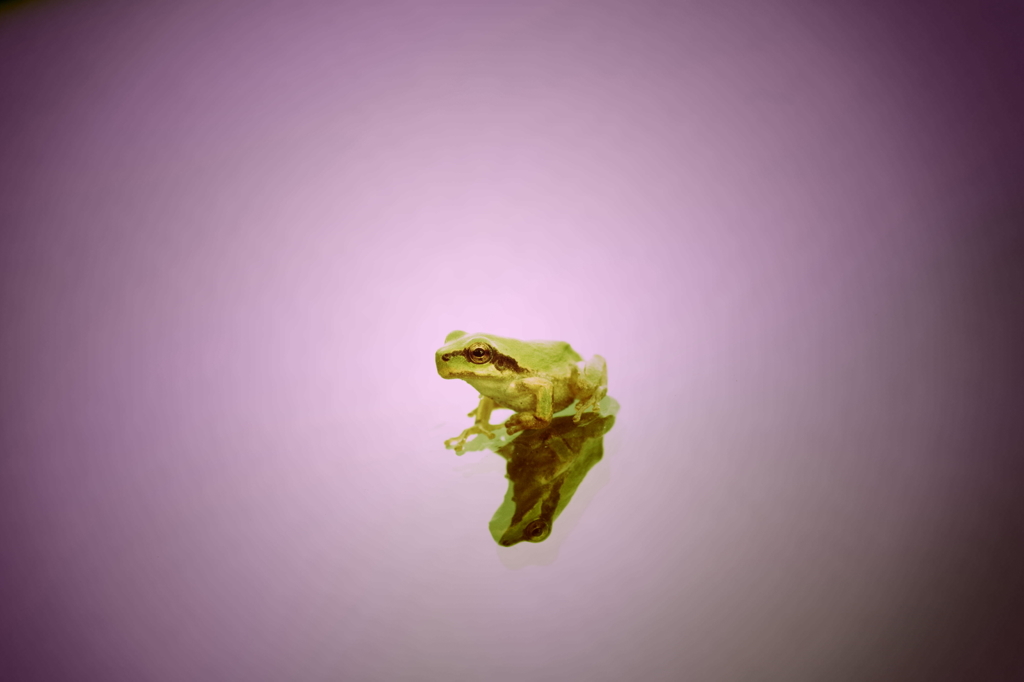 もう一人の自分・・・