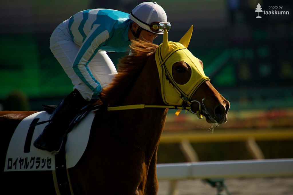 初チャレンジ東京競馬場（1）