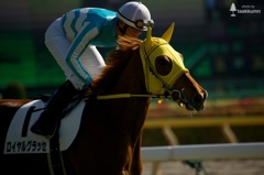 初チャレンジ東京競馬場（1）