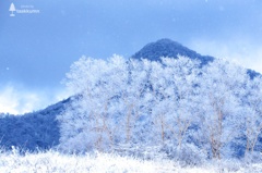 赤城山の霧氷（1）