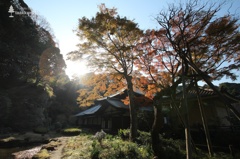 逆光の瑞泉寺