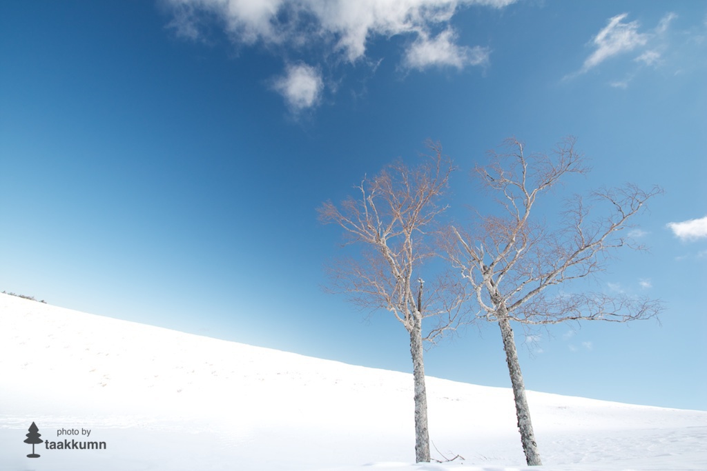 二人だけの雪原