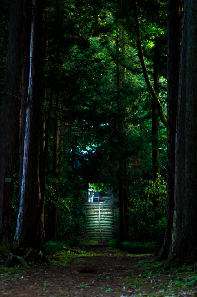 寺へと続く道・・・