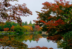 日本庭園～昭和記念公園～