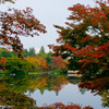 日本庭園～昭和記念公園～
