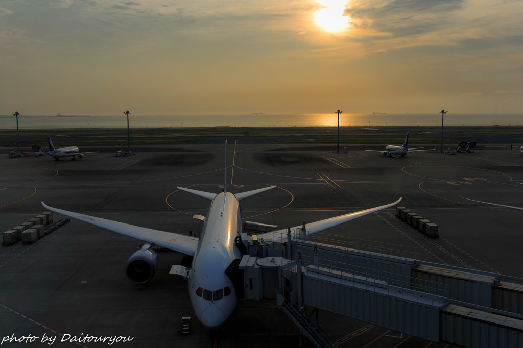 空港の朝　