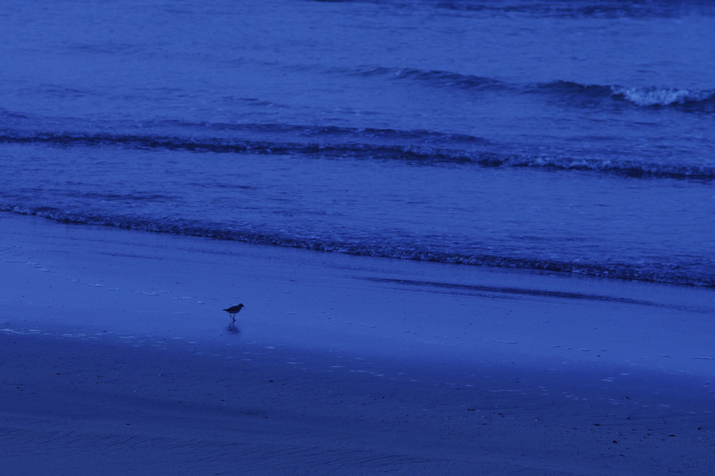 早朝の海