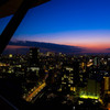 Tokyo Night View~2