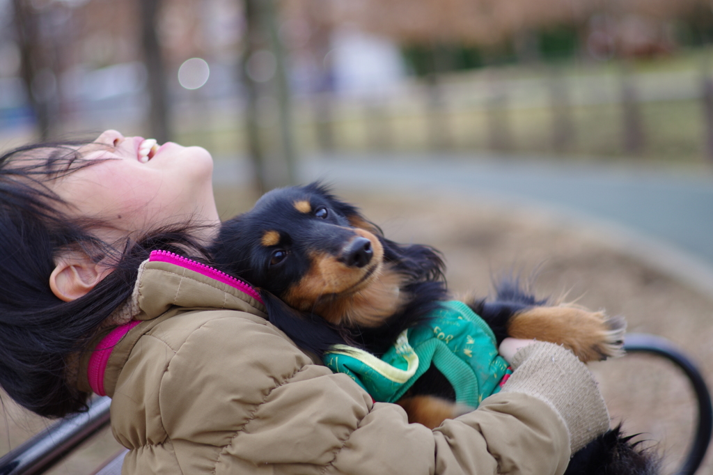 愛犬といっしょに・・・