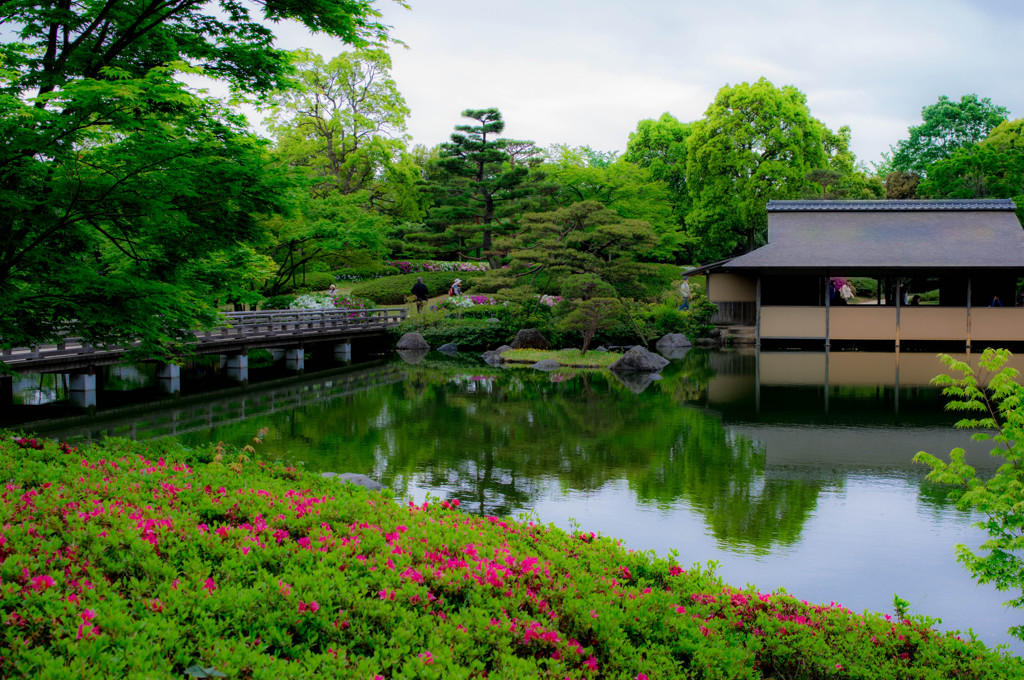 日本庭園～新緑～
