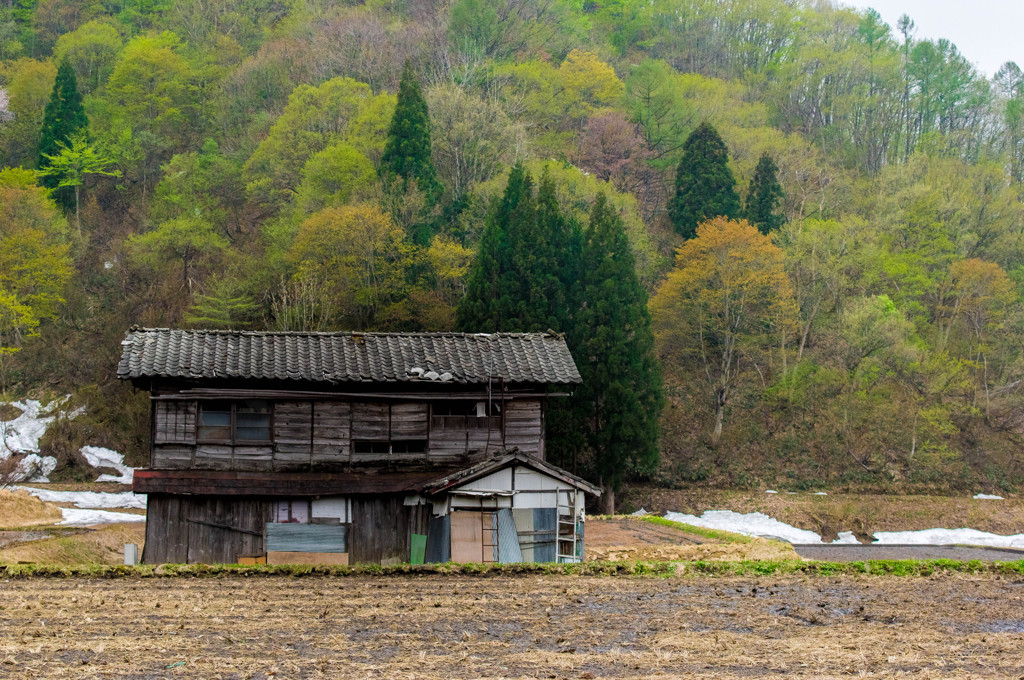 廃な風景～新緑Ver~
