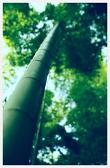 まっすぐに・・・