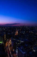 Tokyo Night View~