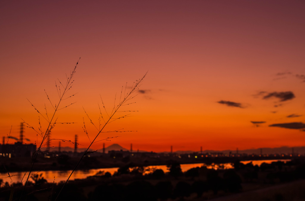 河川敷～夕暮れ～
