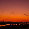 河川敷～夕暮れ～