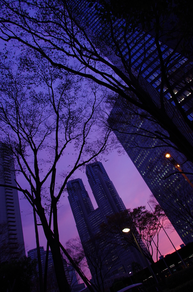 大都会な夕暮れ・・・