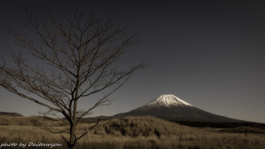 EarthColor