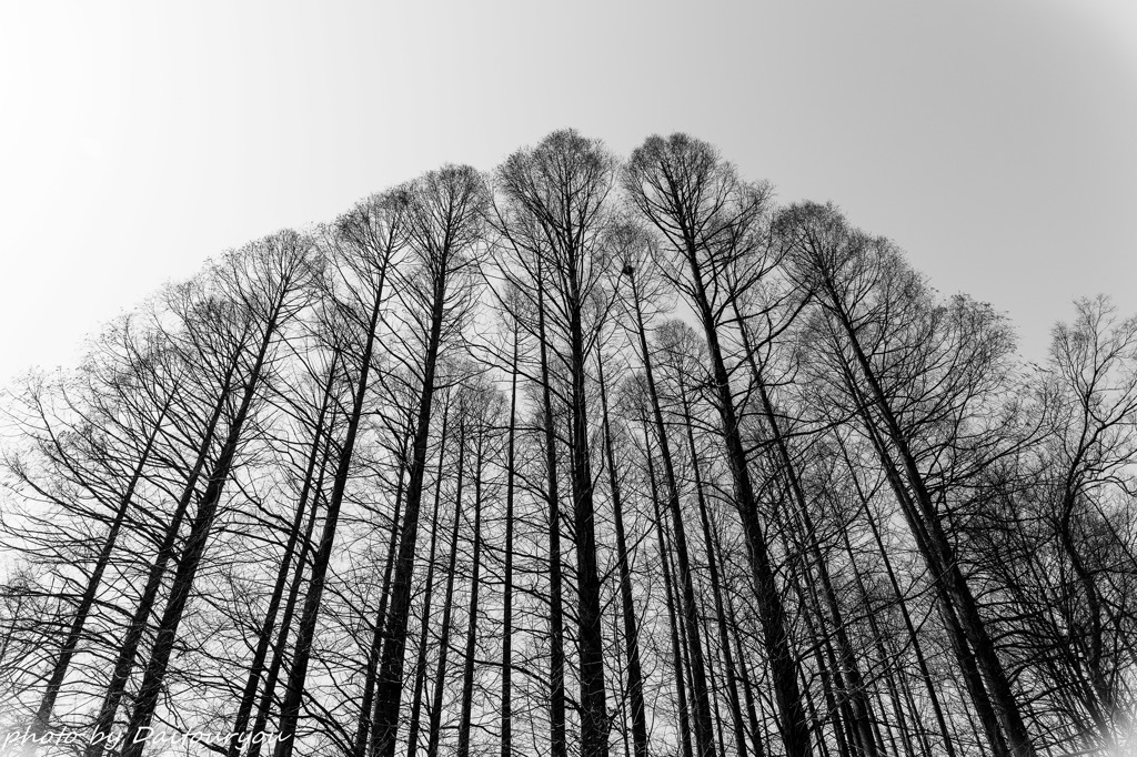空へ